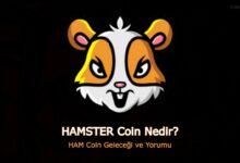 Hamster coin не работает