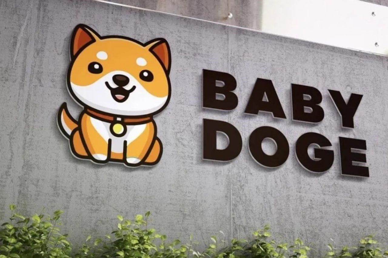 Baby dogecoin. Baby Doge. Babydoge токен. Babydoge Binance.